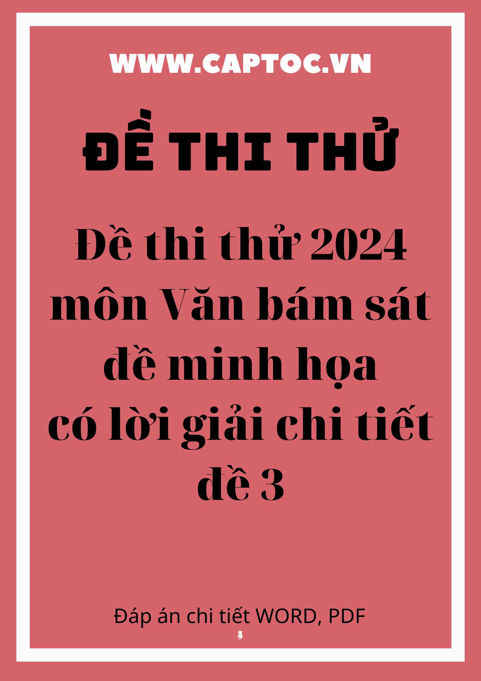 Đề thi thử 2024 môn Văn bám sát đề minh họa có lời giải chi tiết đề 3