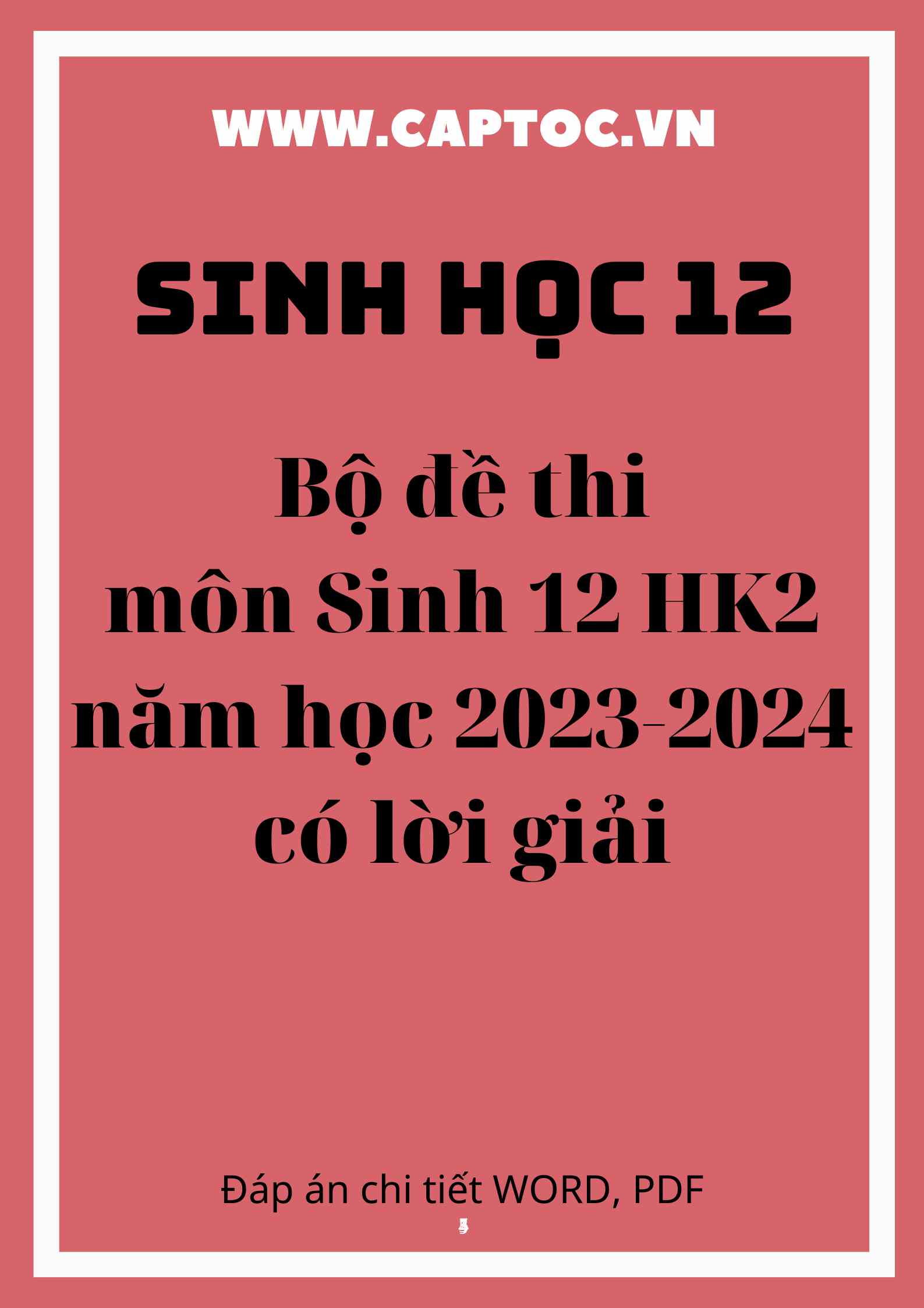 Bộ đề thi môn Sinh 12 HK2 năm học 2023-2024 có lời giải